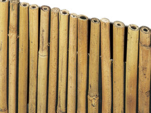 1-Bambù filo passante